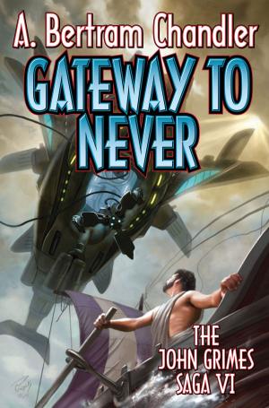 Cover of the book Gateway to Never by Clay Reynolds