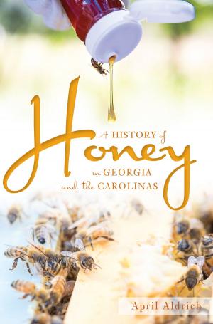 Cover of the book A History of Honey in Georgia and the Carolinas by Maxine L. Byrne