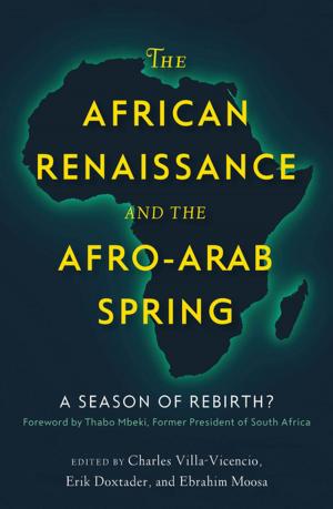 Cover of the book The African Renaissance and the Afro-Arab Spring by TATORT Kurdistan