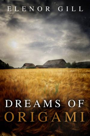 bigCover of the book Dreams of Origami by 