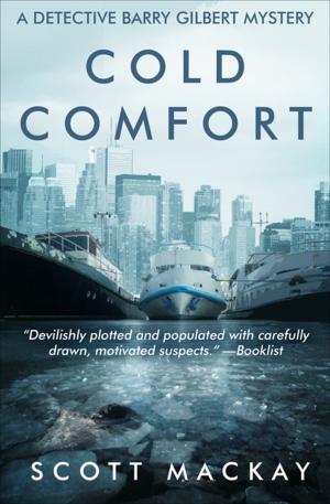 Cover of the book Cold Comfort by Barbara Griffin Villemez