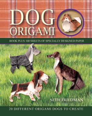 Cover of the book Dog Origami by Jill Hamilton
