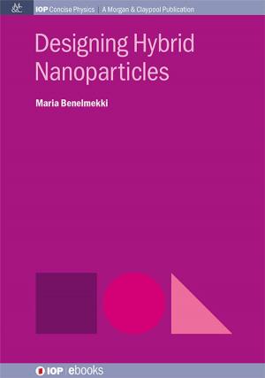 Book cover of Designing Hybrid Nanoparticles