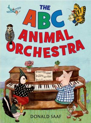 Book cover of The ABC Animal Orchestra