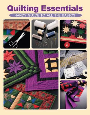 Cover of the book Quilting Essentials by Karen Ruth