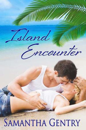 Cover of the book Island Encounter by Peggy  Chambers