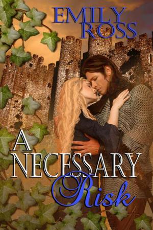 Cover of the book A Necessary Risk by LaVerne  Clark