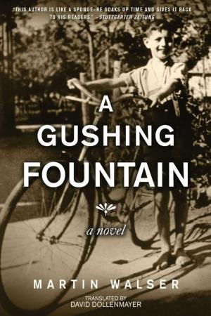 Cover of the book A Gushing Fountain by Tom Phelan