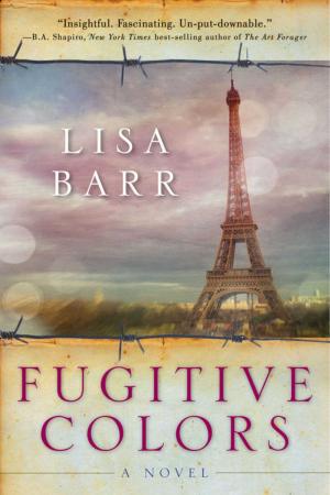 Cover of the book Fugitive Colors by Scott McGaugh