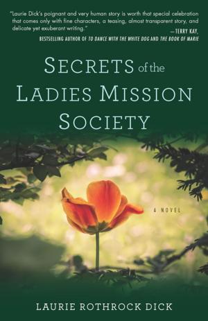 Cover of the book Secrets of the Ladies Mission Society by Manya DeLeon Miller, L.P.N., M.P.H.