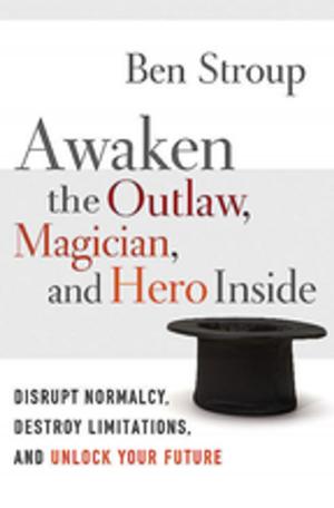 Cover of the book Awaken the Outlaw by Swami Shankarananda