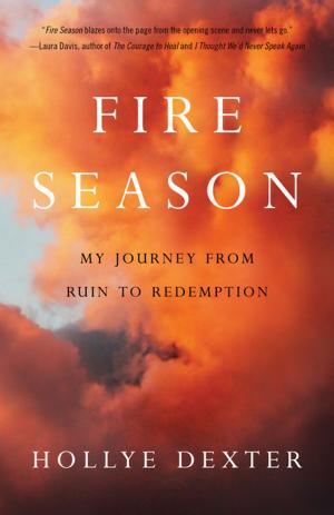 Cover of the book Fire Season by Elizabeth Geoghegan