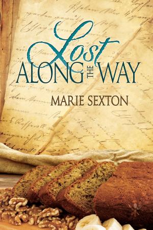 Cover of the book Lost Along the Way by TA Moore