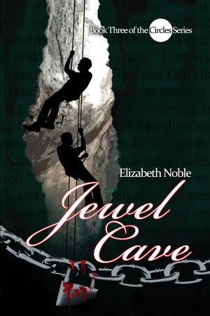 bigCover of the book Jewel Cave by 