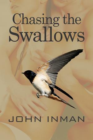 Cover of the book Chasing the Swallows by Nicki Bennett, Ariel Tachna