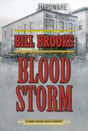 Cover of the book Blood Storm by Michael Teitelbaum