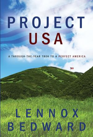 Book cover of Project USA: A Through-the-Year Trek to a Perfect America