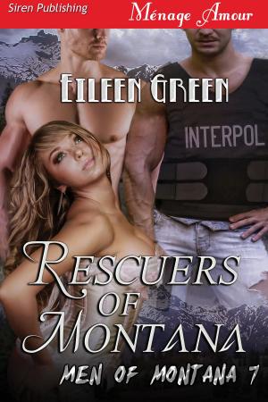 Cover of the book Rescuers of Montana by Marcy Jacks