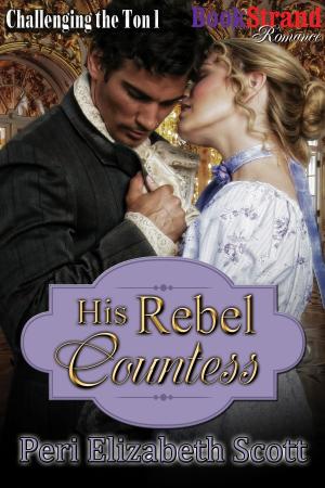 Cover of the book His Rebel Countess by Stormy Glenn