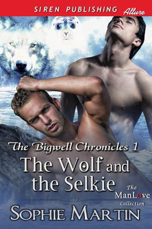 Book cover of The Wolf and the Selkie