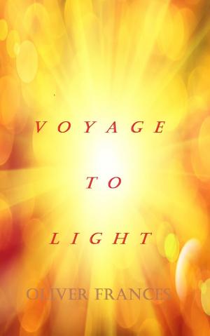 Cover of the book Voyage to Light by John Graham Costello