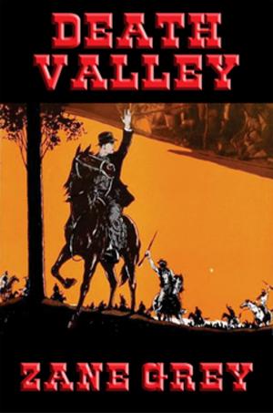Cover of the book Death Valley by Walt Sheldon