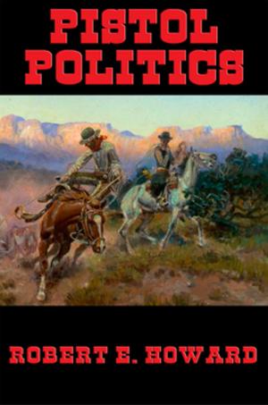 Cover of the book Pistol Politics by Zane Grey