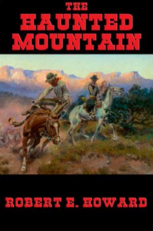 Cover of the book The Haunted Mountain by Max Brand