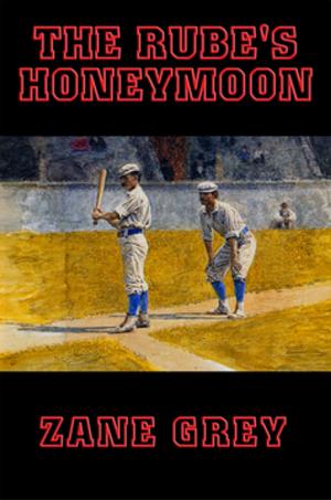 Book cover of The Rube's Honeymoon