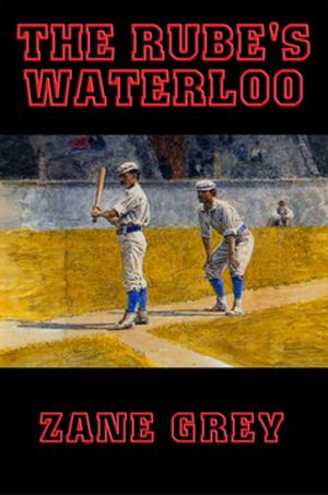 Cover of the book The Rube's Waterloo by Barry M. Goldwater