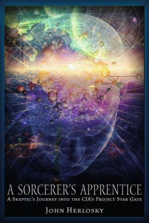 Cover of the book A Sorcerer's Apprentice by Daniel Estulin