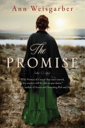 Cover of the book The Promise by Viveka Blom Nygren