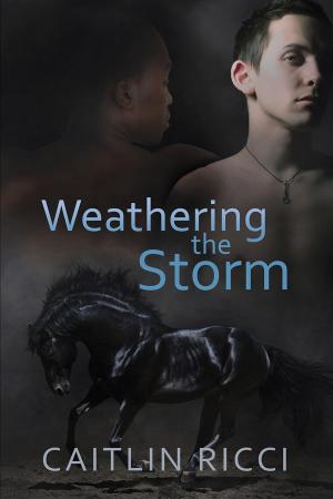 Cover of the book Weathering the Storm by Scotty Cade