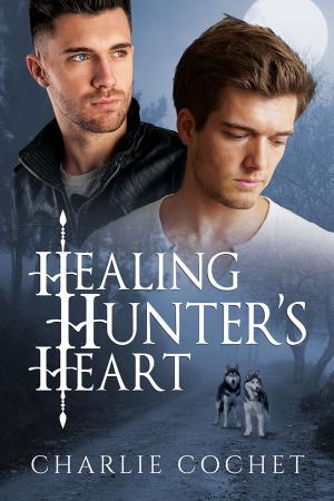 Book cover of Healing Hunter's Heart