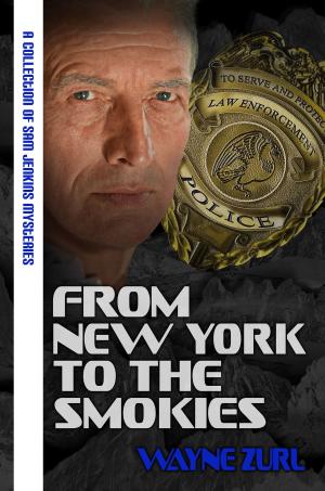 Cover of the book From New York to the Smokies: A Collection of Sam Jenkins Mysteries by Nancy Pirri
