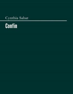 Cover of the book Confín by Jo-Anne Sieppert