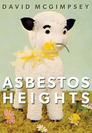 Cover of the book Asbestos Heights by Jessica Westhead
