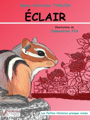 Cover of the book Éclair by Lysette Brochu