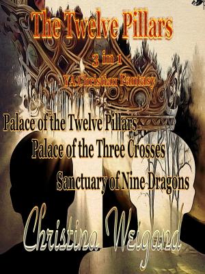 Cover of the book The Twelve Pillars Bundle by MK Barrett