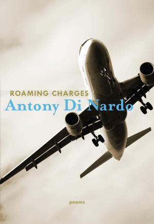 Cover of the book Roaming Charges by Barry Dempster
