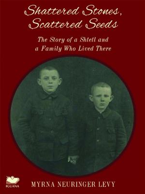 Cover of the book Scattered Stones, Shattered Seeds by Devon Weaver
