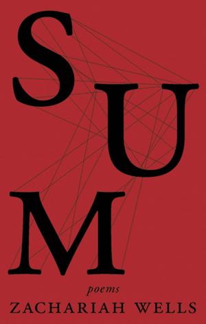 bigCover of the book Sum by 