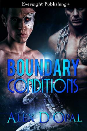 Book cover of Boundary Conditions