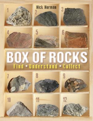 Cover of the book Box of Rocks by Sean Fraser