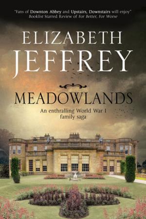 Cover of the book Meadowlands by Glenis Wilson