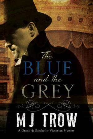 Cover of the book The Blue and the Grey by Veronica Heley