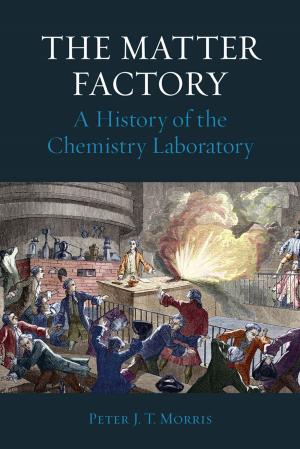 Cover of The Matter Factory