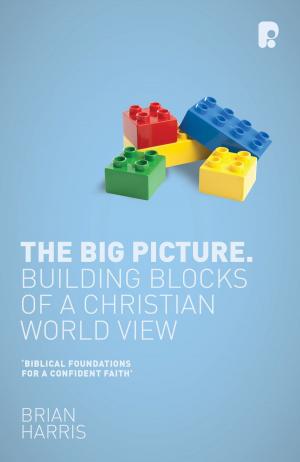 Cover of the book The Big Picture by Katie M Heffelfinger, Patrick G McGlinchey