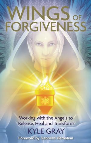 Cover of the book Wings of Forgiveness by Barbara De Angelis, Ph.D.