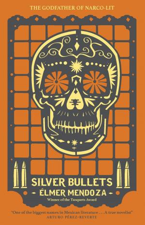 Cover of the book Silver Bullets by Walton Golightly